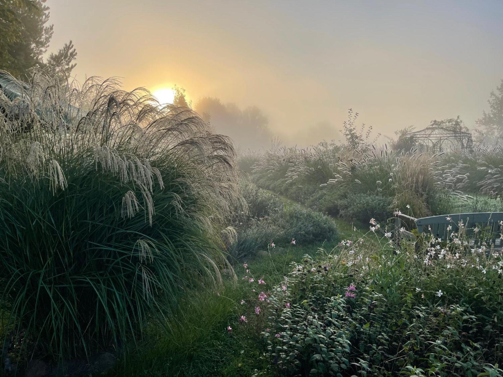 Alwine - Landhaus An Den Spreewiesen Rietz Neuendorf Exteriér fotografie