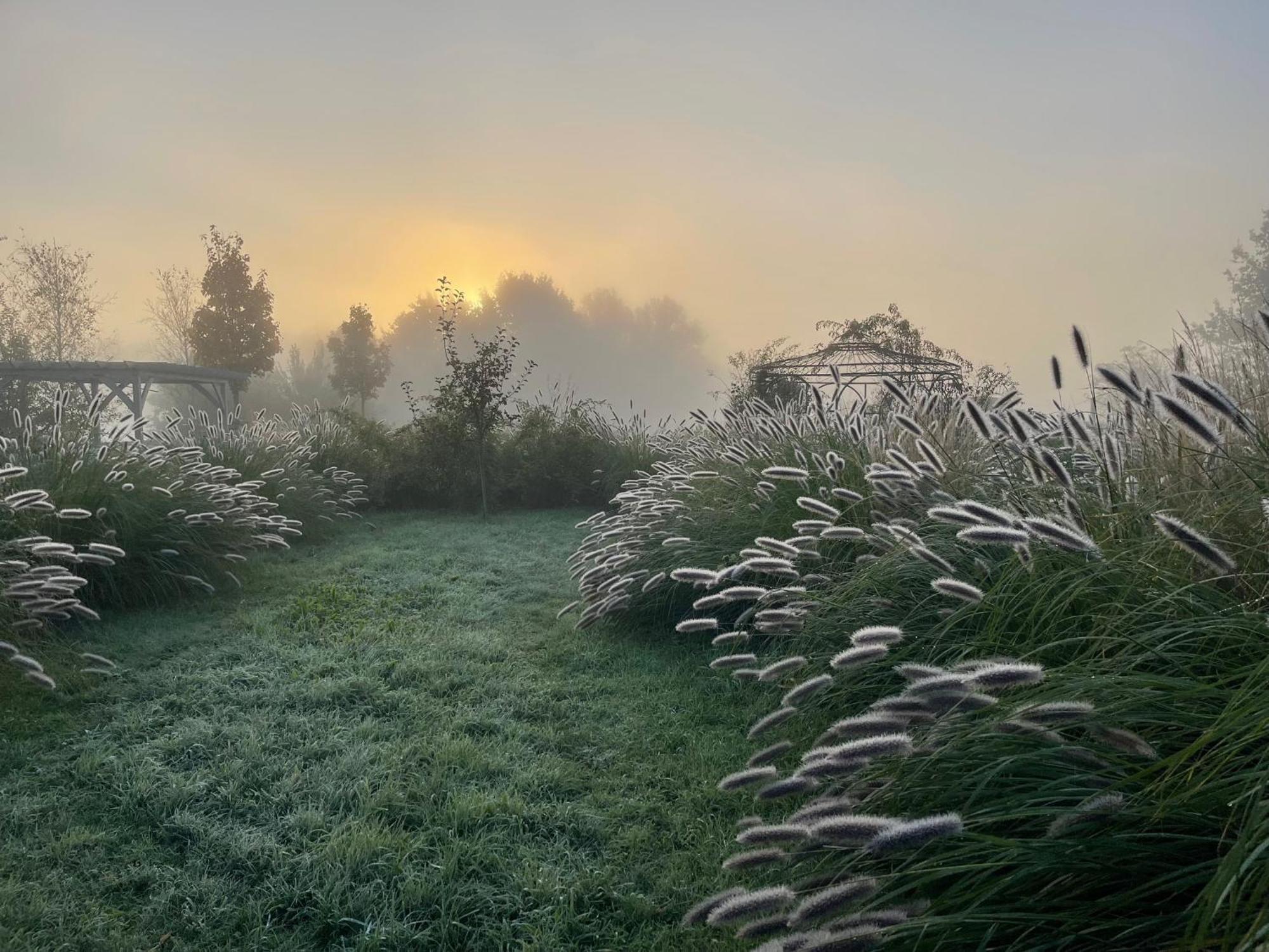 Alwine - Landhaus An Den Spreewiesen Rietz Neuendorf Exteriér fotografie