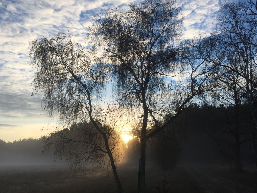 Alwine - Landhaus An Den Spreewiesen Rietz Neuendorf Exteriér fotografie