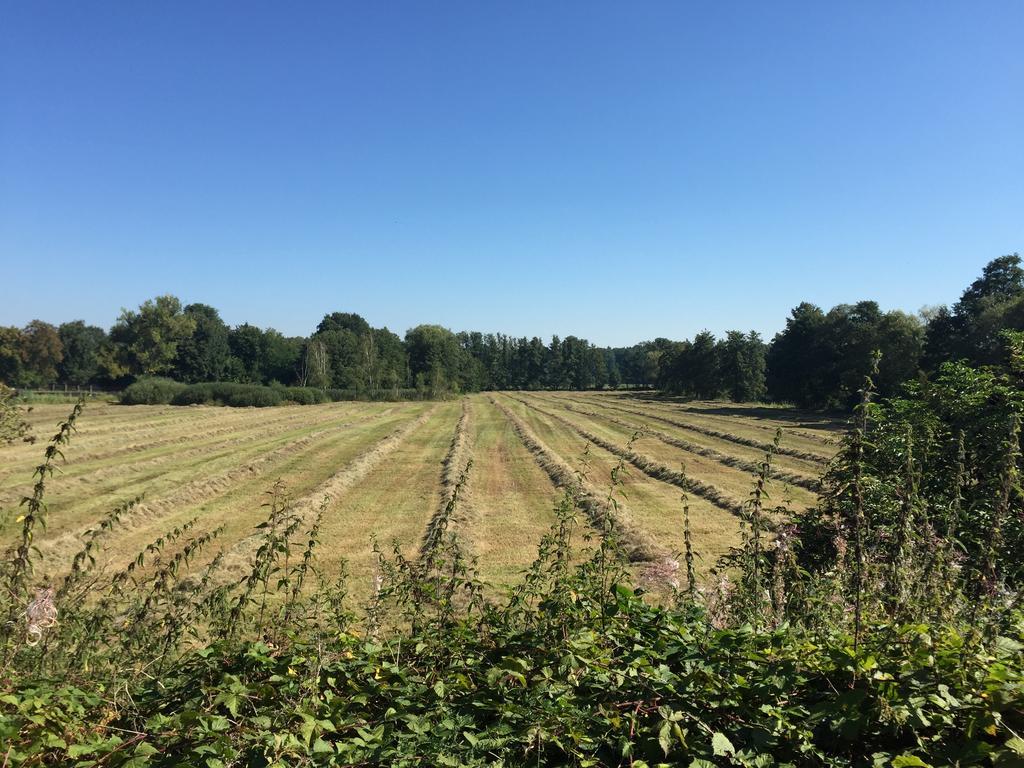 Alwine - Landhaus An Den Spreewiesen Rietz Neuendorf Exteriér fotografie
