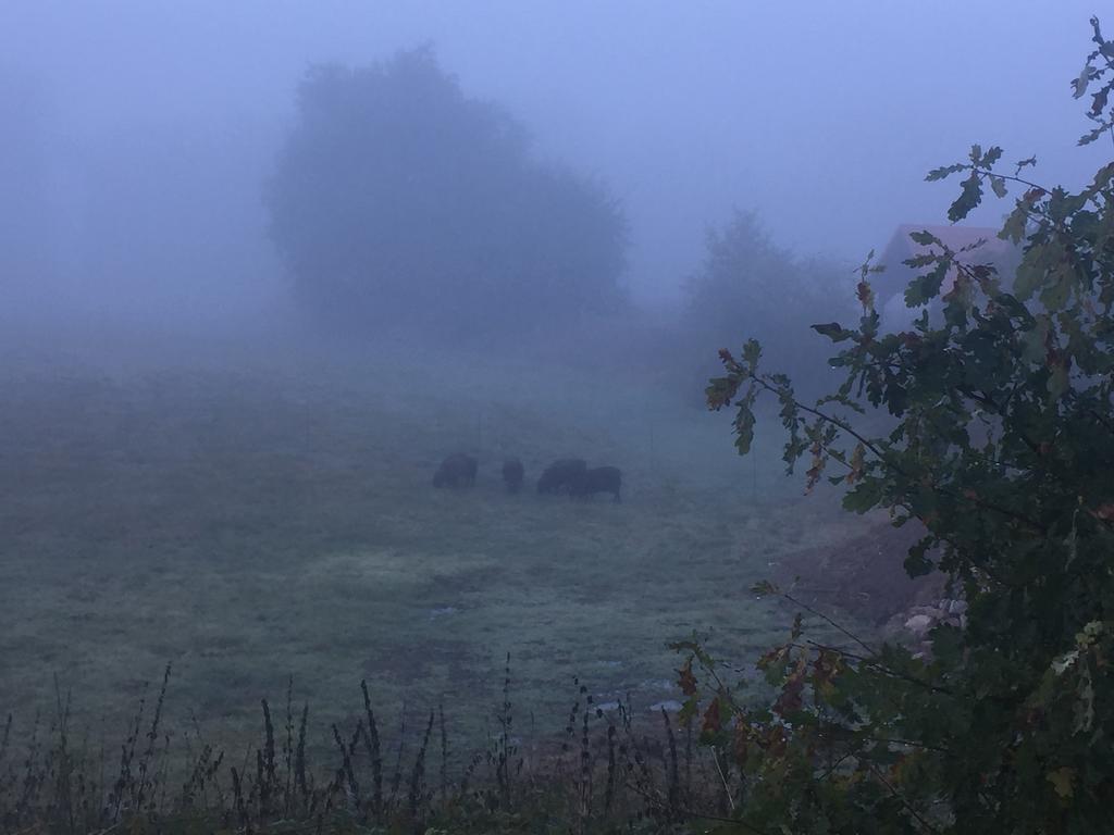 Alwine - Landhaus An Den Spreewiesen Rietz Neuendorf Exteriér fotografie