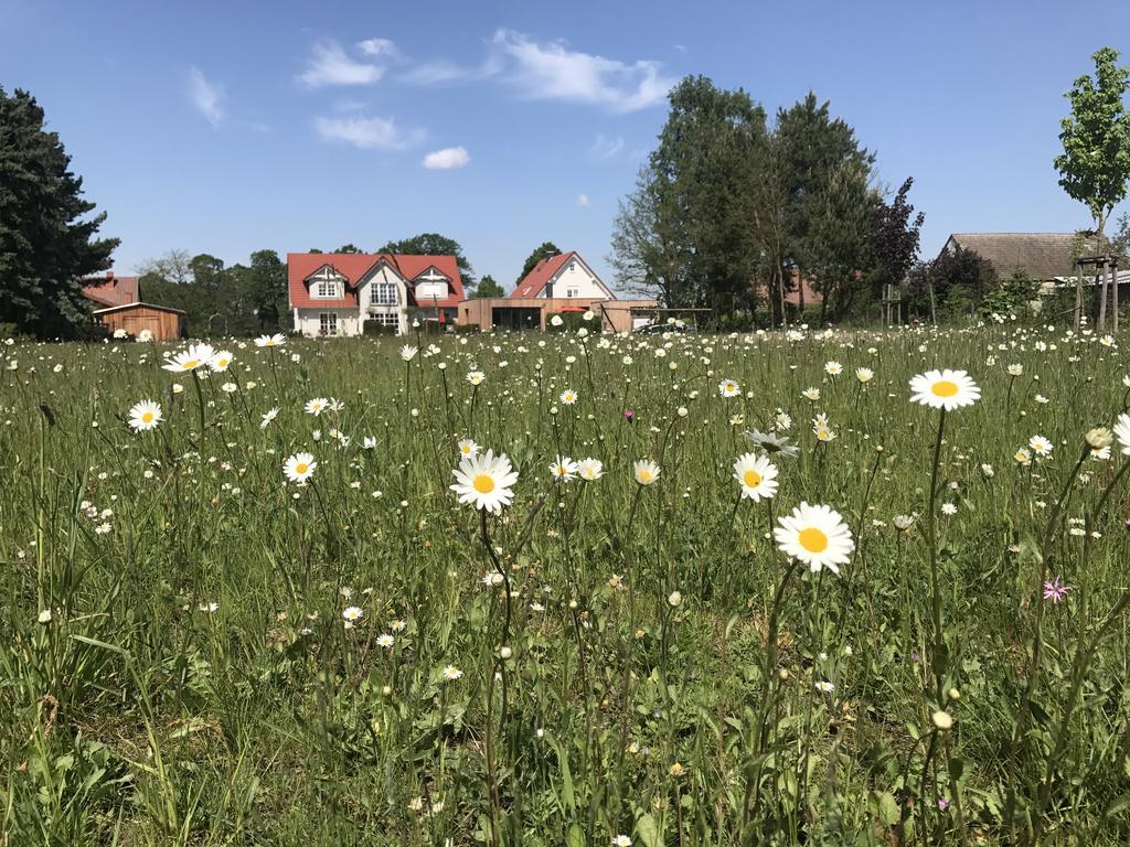 Alwine - Landhaus An Den Spreewiesen Rietz Neuendorf Exteriér fotografie
